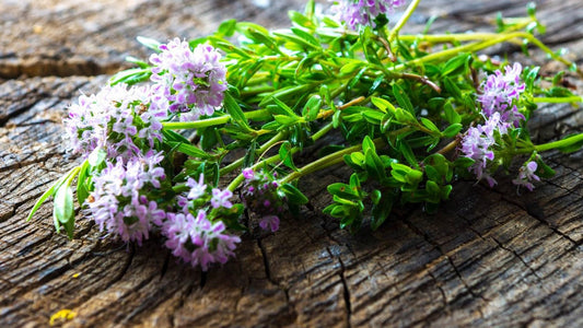 Wer es kennt, kann nicht mehr ohne es auskommen