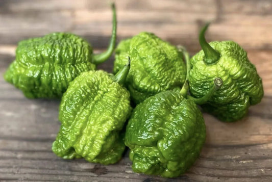 Die Welt hat eine neue schärfste Chili